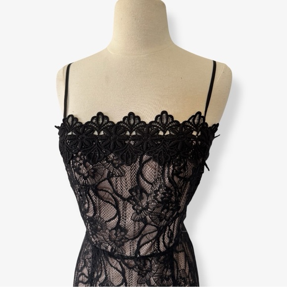 BB Dakota Novelty Black Lace Midi Dress - Picture 7 of 15